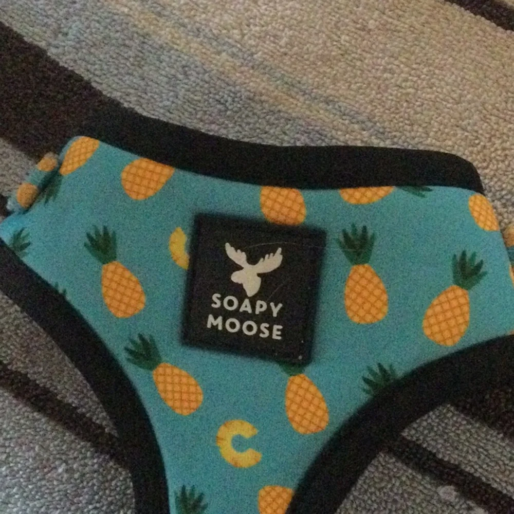 Soapy Moose harness and leash for cat or small dog, EEEEEUC